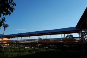 Pousada Amazon Rain Forest