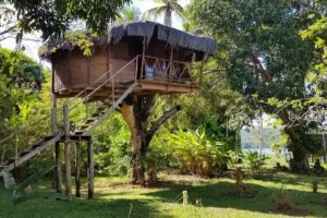 Pousada Arte Na Mata (ArtJungle Eco Lodge) Itacaré BA