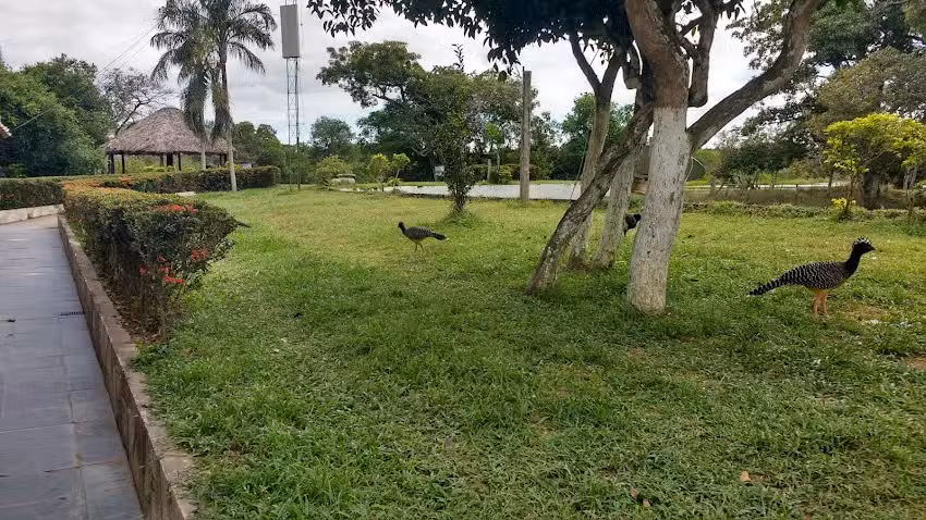 Pousada Baguari Pantanal