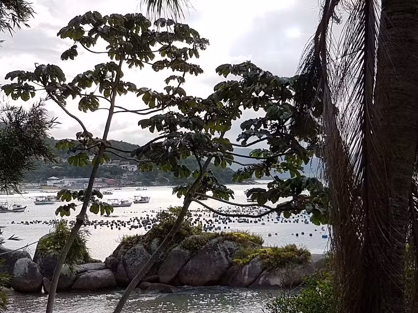 Pousada Ba&iacute;a das Brom&eacute;lias