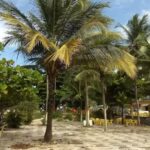 pousada Barra Grande