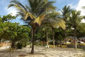 pousada Barra Grande