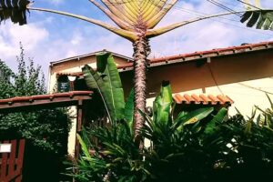 Pousada Boca da Pra&ccedil;a