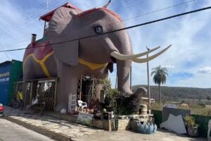 Pousada Casa Elefante