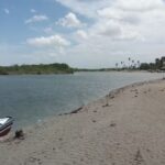 Pousada Cavalo Marinho