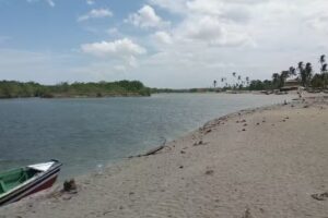 Pousada Cavalo Marinho