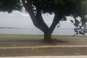 Pousada da Amendoeira