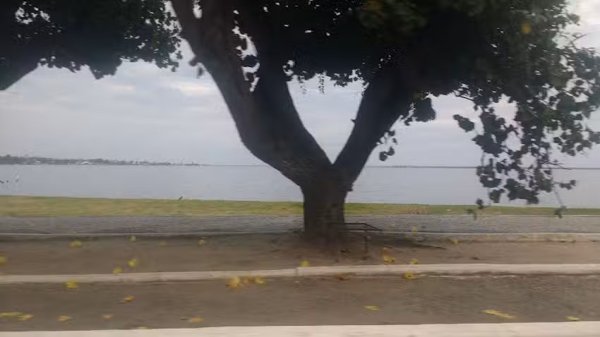 Pousada da Amendoeira