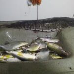 Pousada das &Aacute;guas