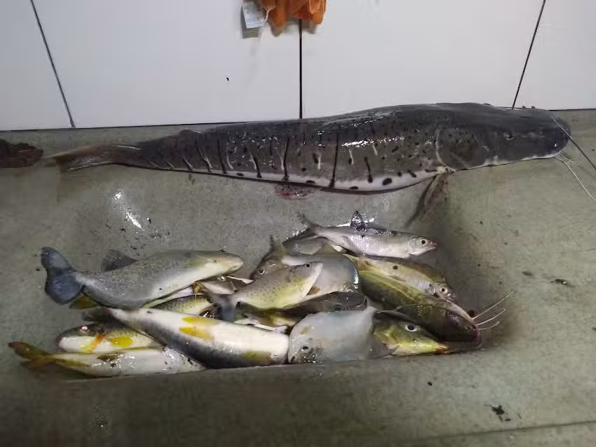 Pousada das &Aacute;guas