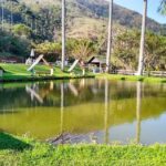 Pousada das Palmeiras