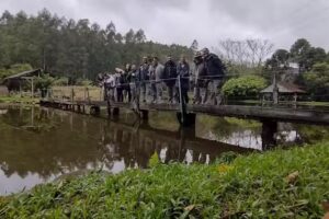 Pousada das Pinguelas