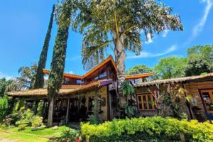 Pousada Dharma Luz e Paz (Hospedagem e Spa Hol&iacute;stico)