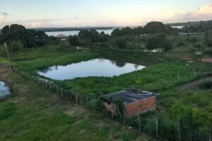 Pousada Do Dami&atilde;o