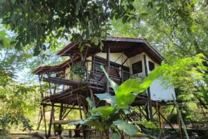 Pousada Ecocentro Brasil – Sede Emma Gardens