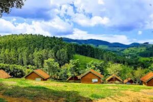 Pousada Ecol&oacute;gica