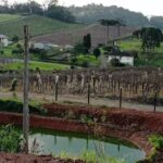 Pousada Encantos do Vale