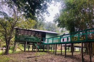 Pousada Flor da Mata Amazon Jungle