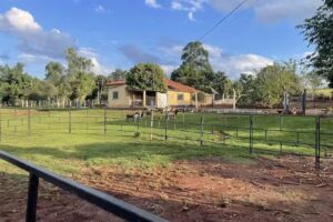 Pousada Flor de Jabuticaba