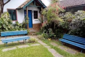 Pousada Flor do Mato