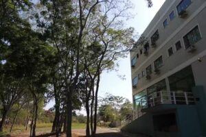 Pousada Gigante da Mata