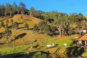 Pousada Haras Cora&ccedil;&atilde;o de Ouro