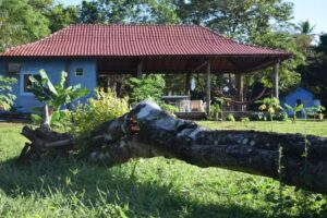 Pousada Holístico | Marajó