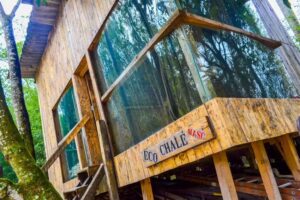 pousada ilha do borore sp