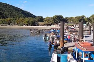 Pousada Ilha do Mel &ndash; Vo Pereira