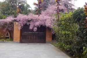 Pousada Jardim das Aves