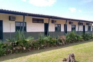 Pousada Jungle hostel