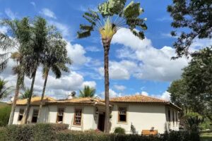 Pousada Pico do Morro Glamping &ndash; Serra da Canastra (Delfin&oacute;polis)