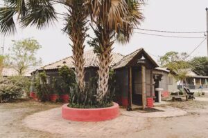 Pousada Porto Jofre Pantanal Southwild