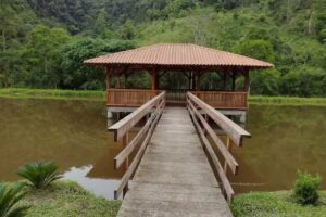 Pousada Recanto da Natureza (Acolhida na Col&ocirc;nia)