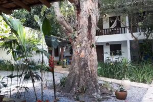 Pousada Recanto Do Beco