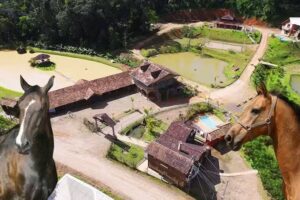 Pousada Recanto Rocha