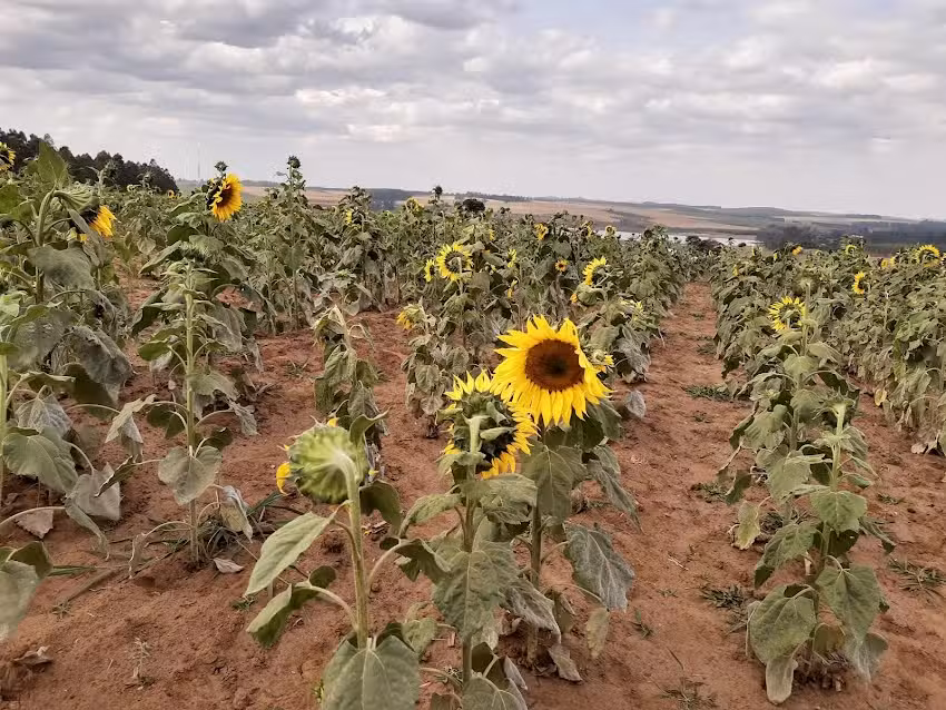 Pousada recanto so Sol