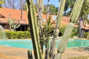 Pousada Rural Nevada