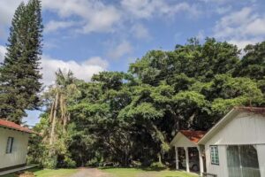 Pousada Sch&auml;ffer