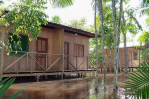 Pousada Seringueira Jungle Lodge