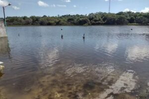 Pousada Tapaca&uacute;