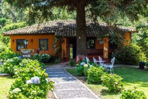 Pousada Trem das Cores