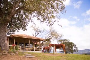 Pousada Trinca Ferro