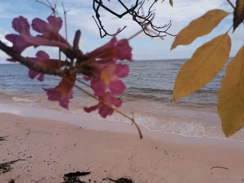 Praia