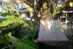 Pusada quinta dos medeiros