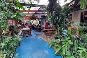 Ra&iacute;zes do Brasil &ndash; Alimenta&ccedil;&atilde;o Saud&aacute;vel, Cultura e Hospedagem