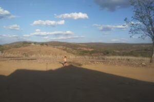 Ramadinha Tau&aacute; Cear&aacute;