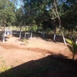 Recanto do Bosque