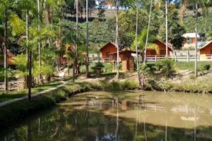 Recanto Floresta Lajinha MG