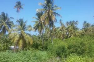 Recanto Porto da Rua